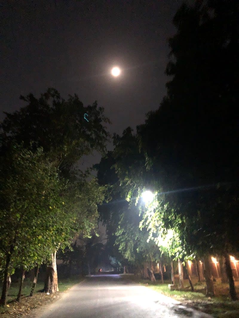 Stc hostel