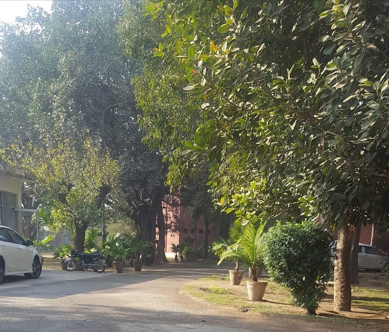 AIMC Hostel 5